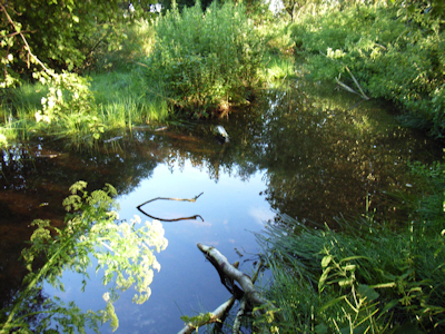 St Leonards Spring